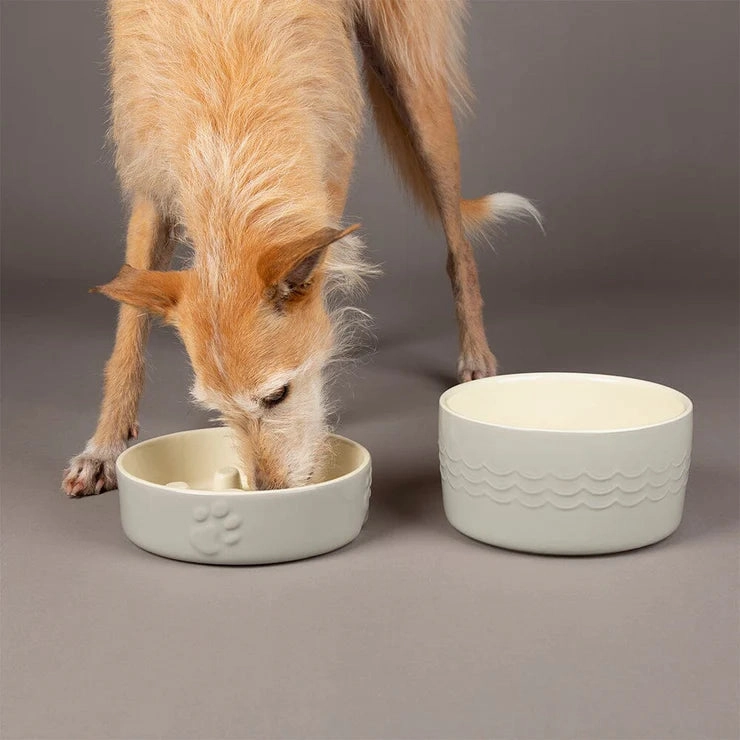 Scruffs Icon Slow Feeder Pet Bowl