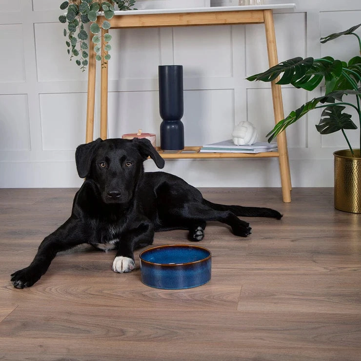 Scruffs Reactive Glaze Pet Food Bowl