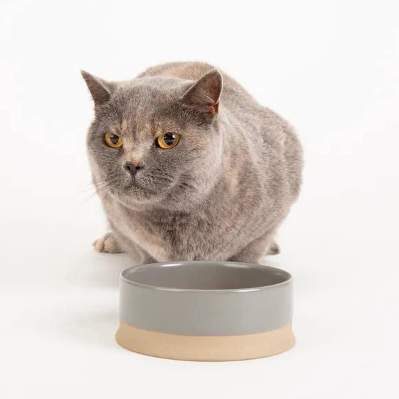 Scruffs Scandi Non Tip Pet Food & Water Bowl