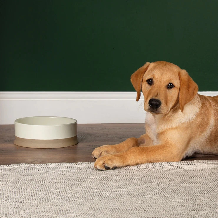 Scruffs Scandi Non Tip Pet Food & Water Bowl