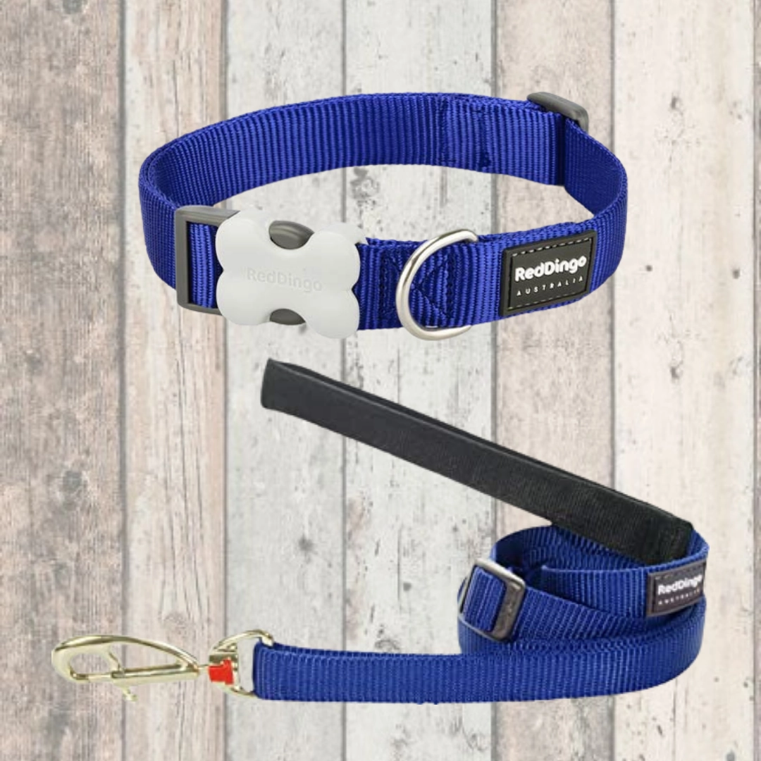 Simply Blue Dog Lead by Red Dingo