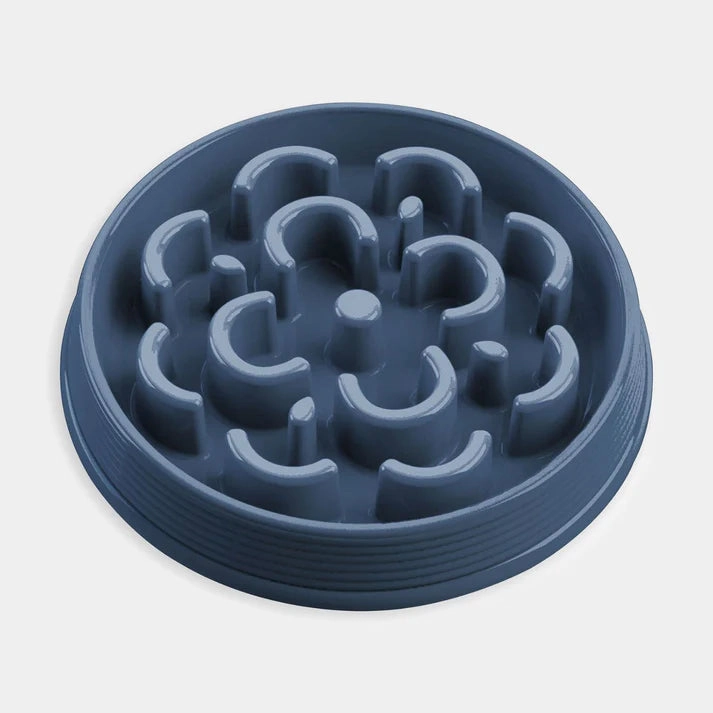 Slow Chow Medallion Dog Bowl Feeder