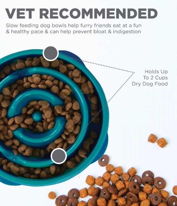 Slow Feeder Dog Bowl - Teal