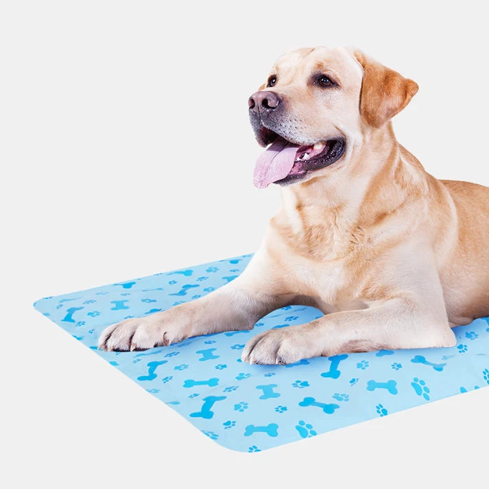 Smart Choice Cooling Mat for Dogs