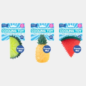 Smart Choice Summer Cooling Fruit Rubber Toy