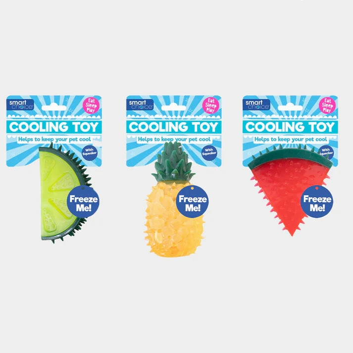 Smart Choice Summer Cooling Fruit Rubber Toy