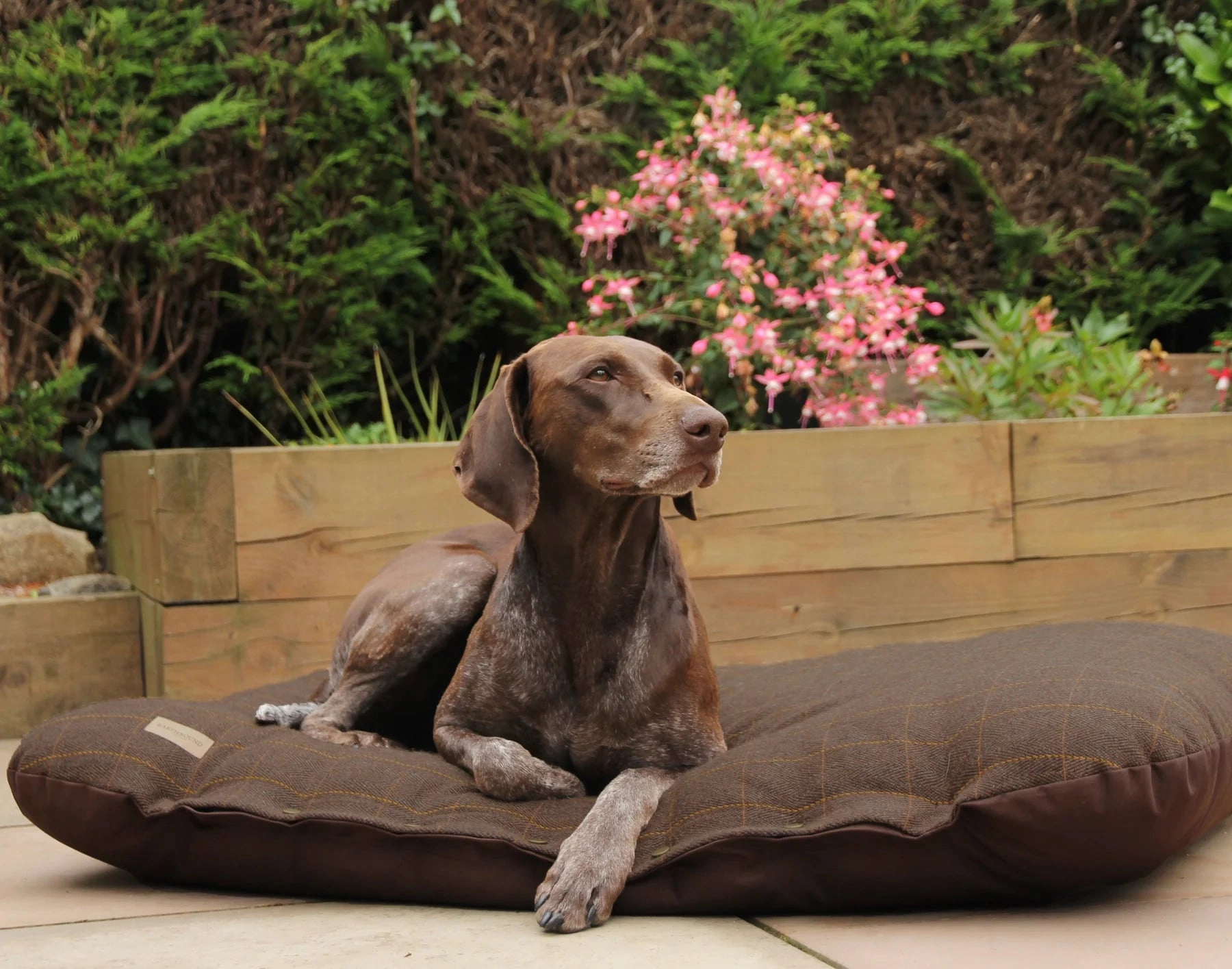Tweed Pad Bed