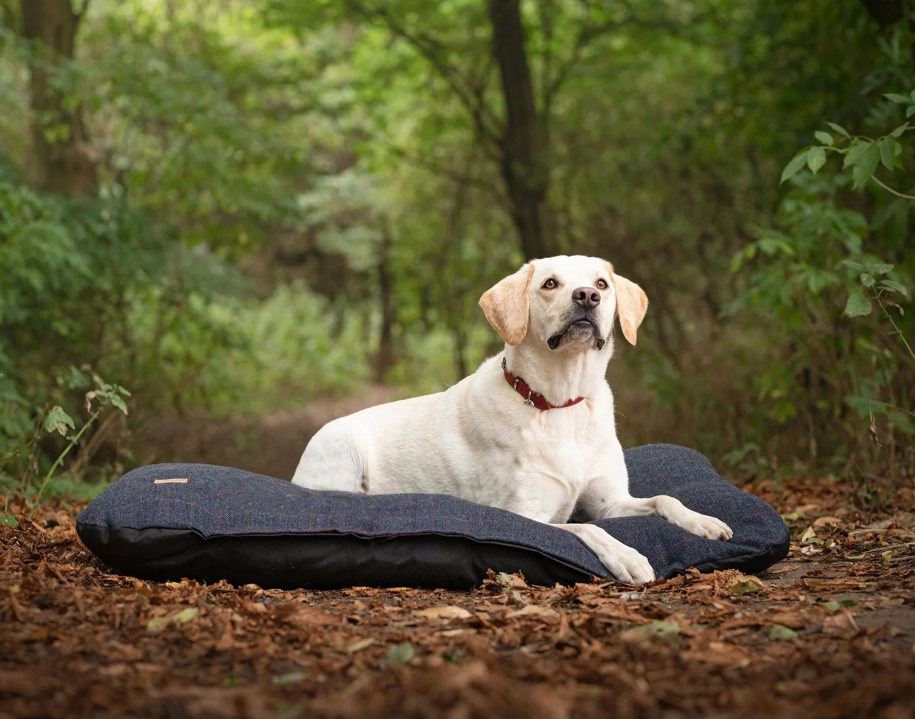 Tweed Pad Bed