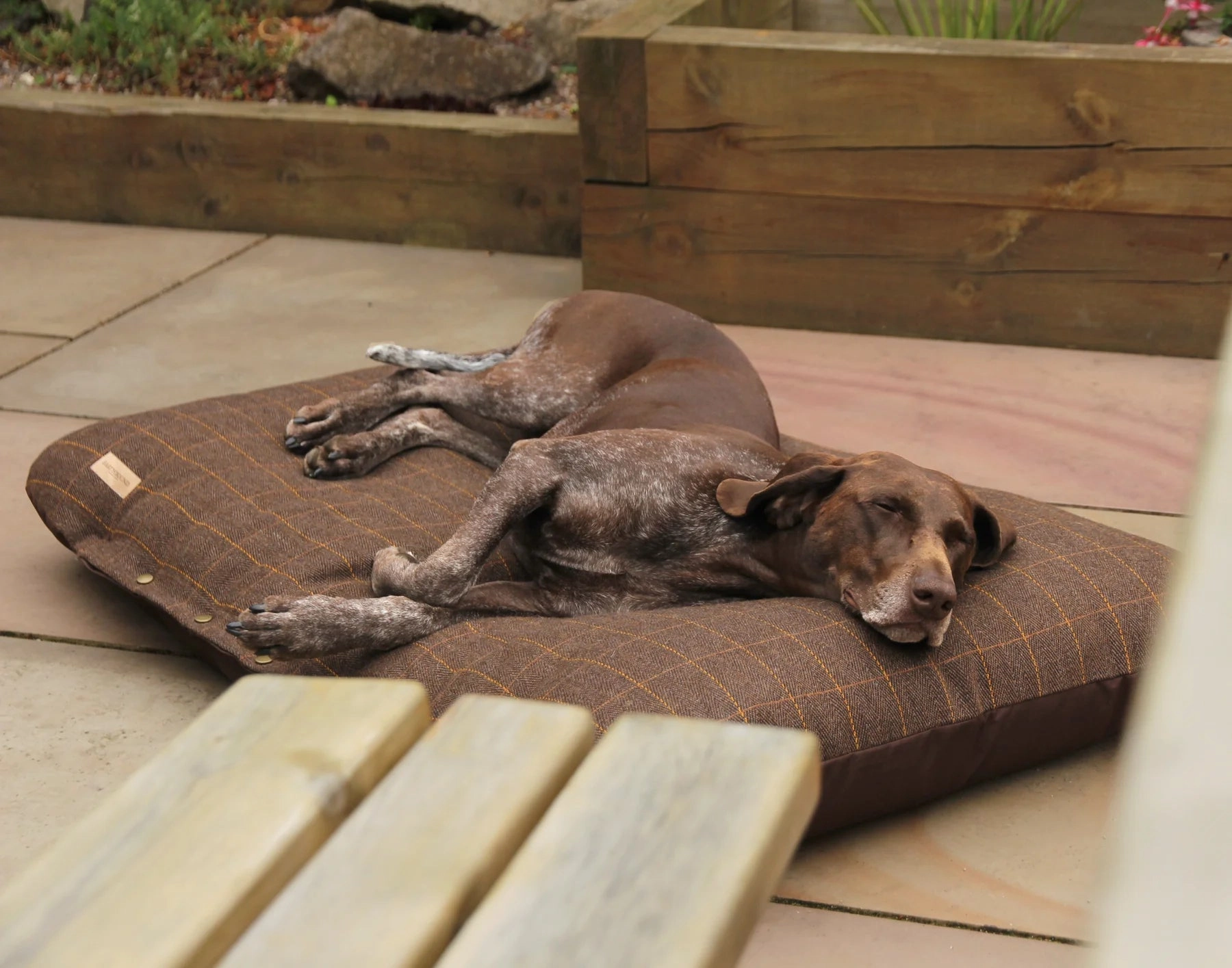 Tweed Pad Bed