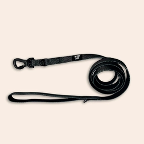 Twiggy Tags Adventure Lead in Petrichor