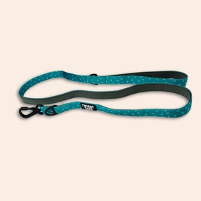 Twiggy Tags Adventure Lead in Tranquil