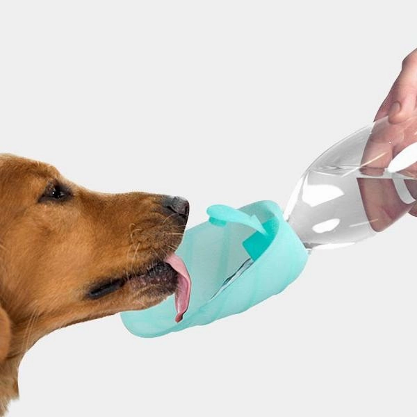 Universal Leaf Dog Water Bottle