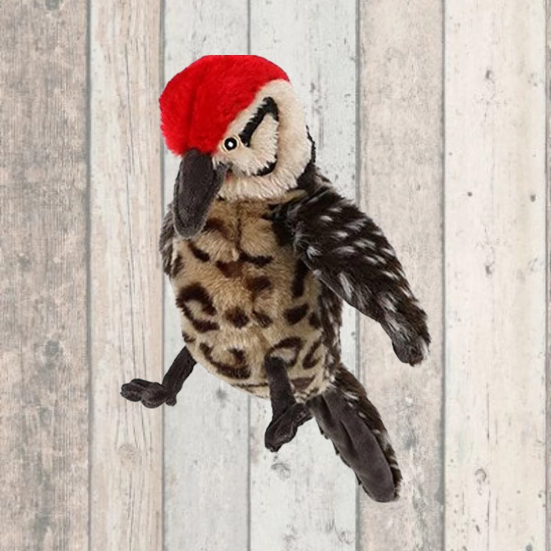 Walter Woodpecker Dog Toy