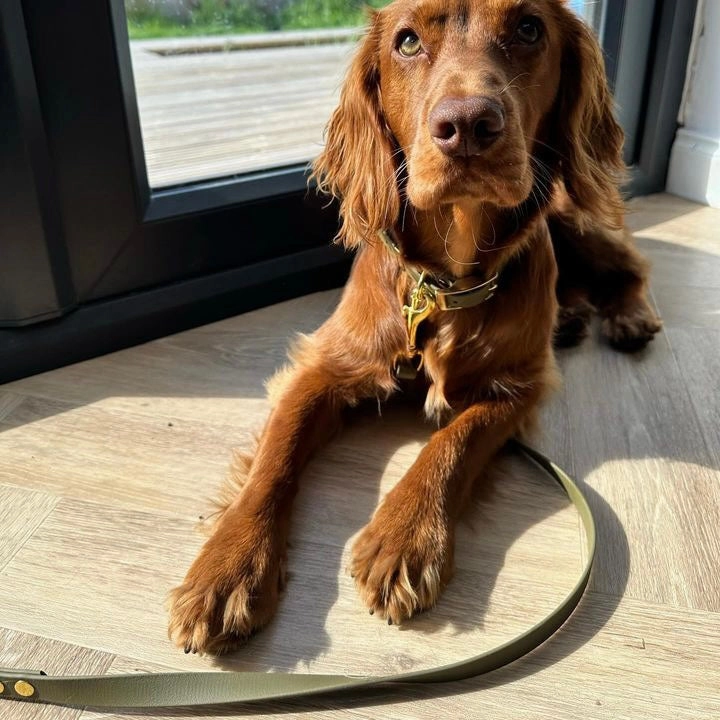 Waterproof Classic Vegan Leather Dog Lead