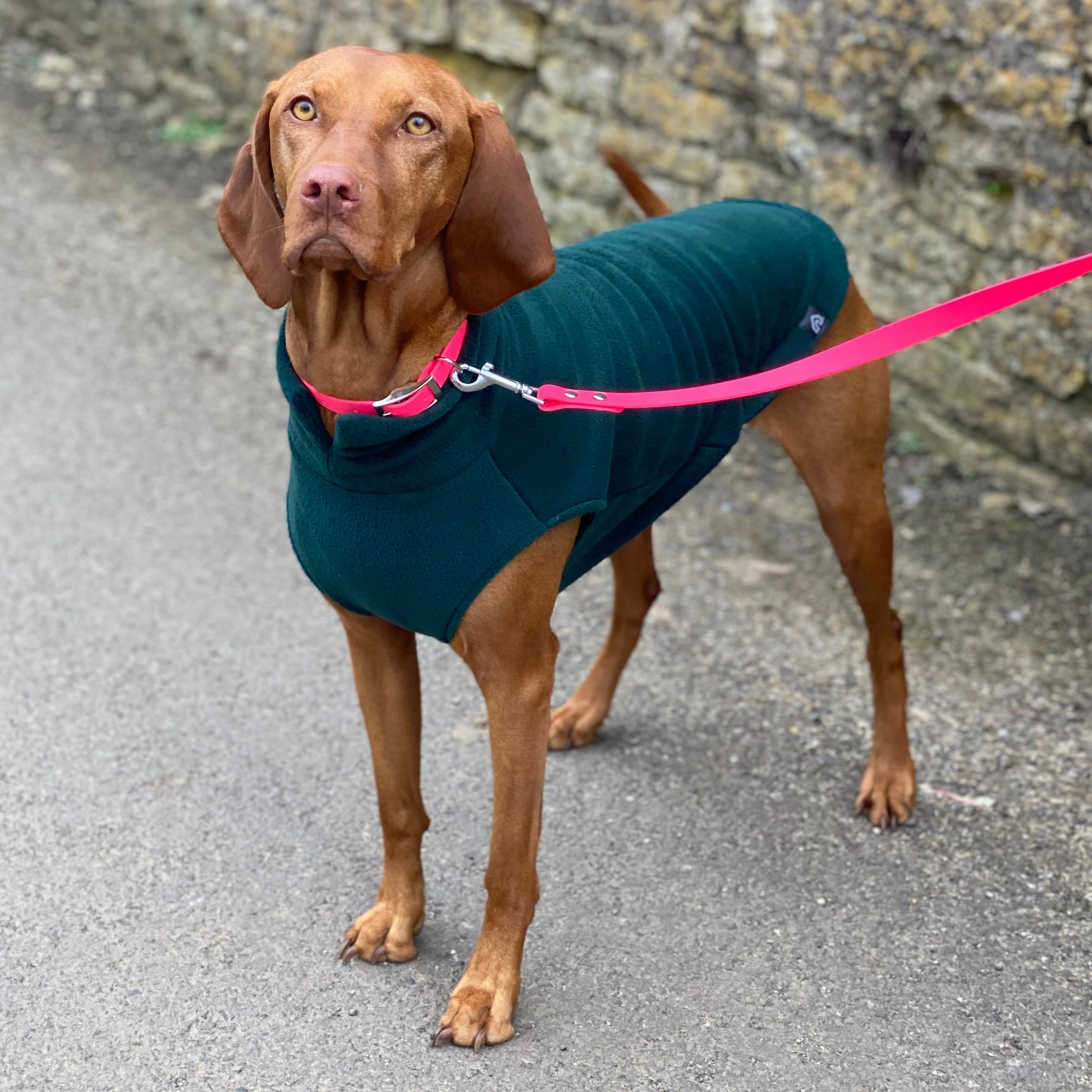 Waterproof Neon Vegan Leather Dog Lead