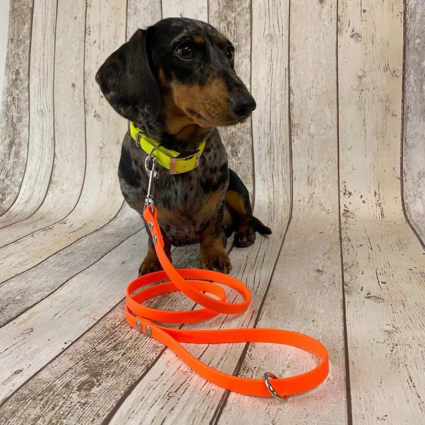 Waterproof Neon Vegan Leather Dog Lead