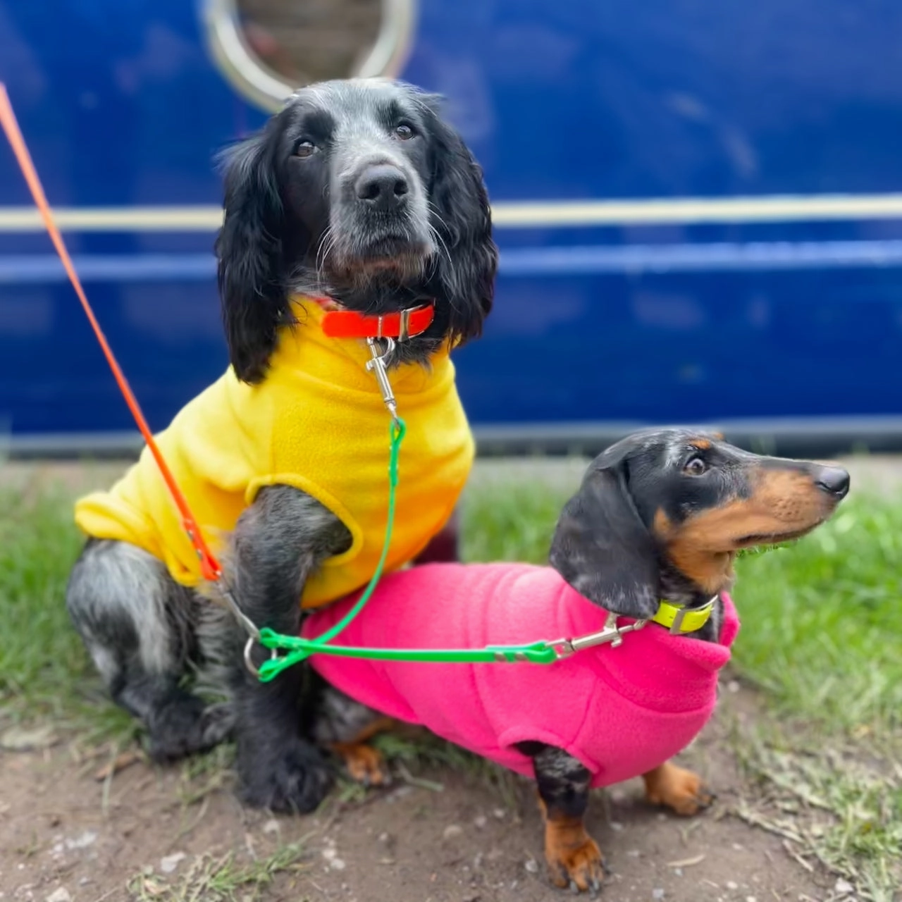 Waterproof Neon Vegan Leather Dog Splitter Lead