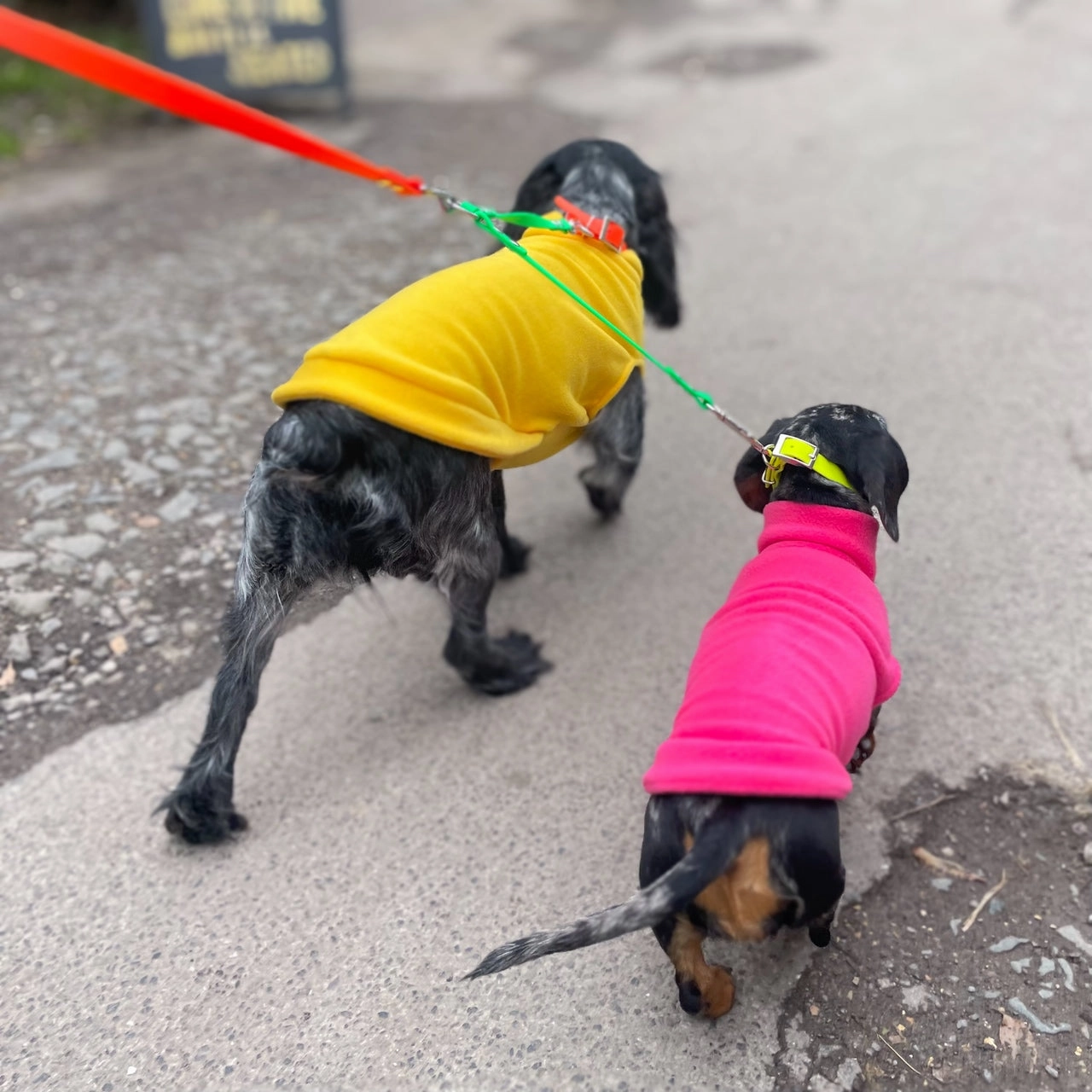 Waterproof Neon Vegan Leather Dog Splitter Lead