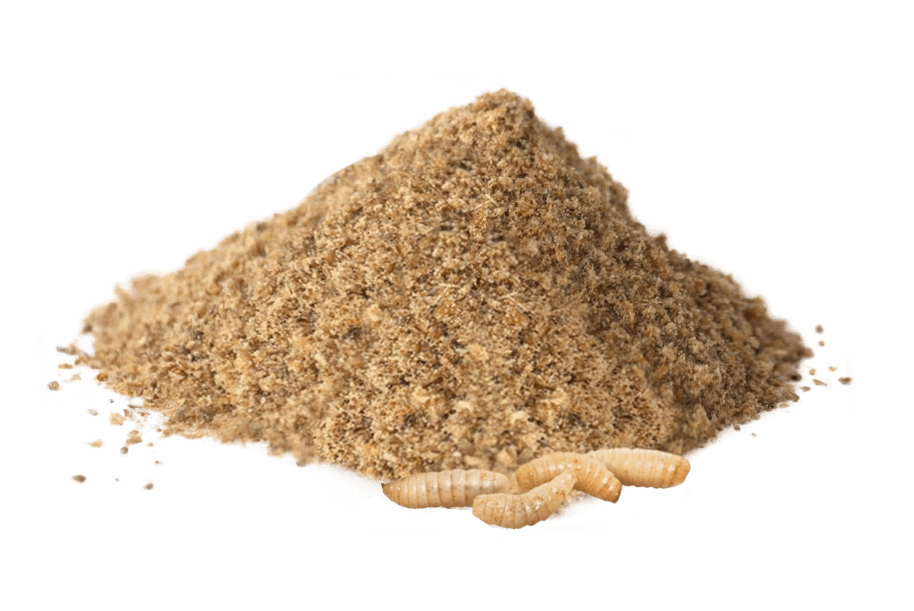 YORA All Breed Insect Protein Dog Food